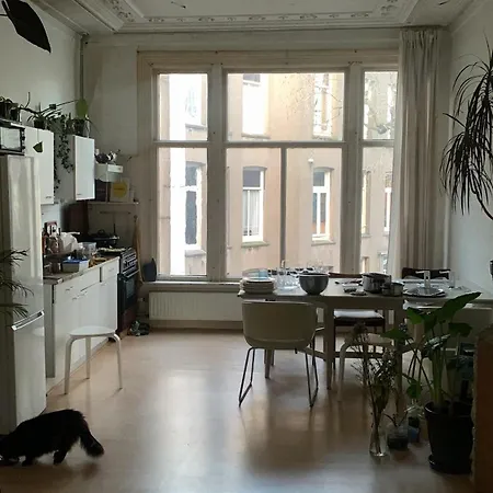 Oasis Apartamento